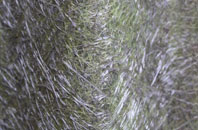 Grahamston fibreglass roof work